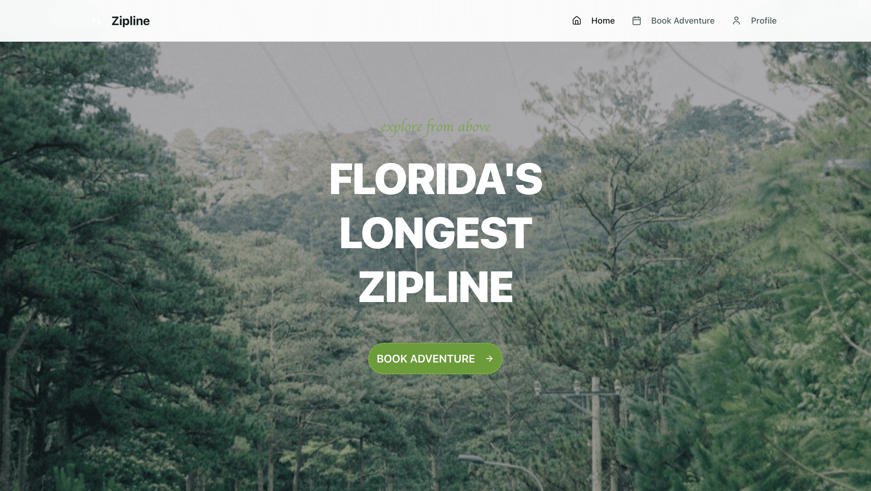 Zipline project preview